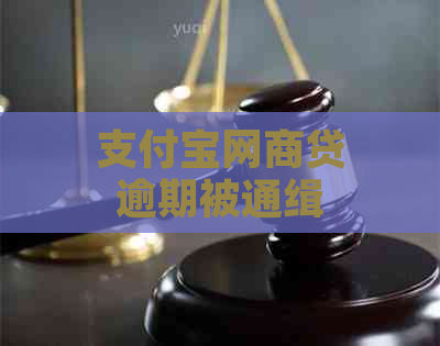 支付宝网商贷逾期被通缉