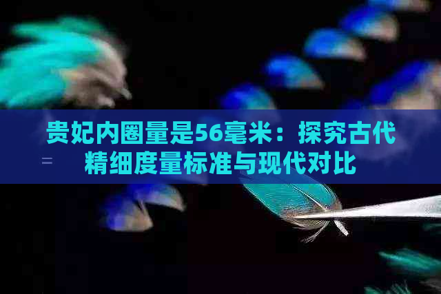 贵妃内圈量是56毫米：探究古代精细度量标准与现代对比