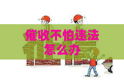 不怕违法怎么办