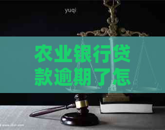 农业银行贷款逾期了怎么还能避免逾期罚款