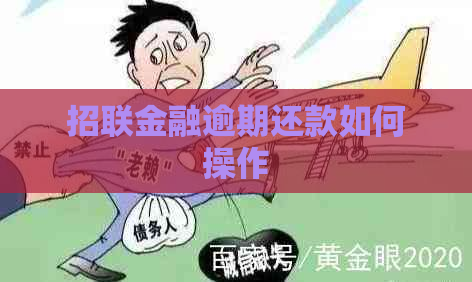 招联金融逾期还款如何操作