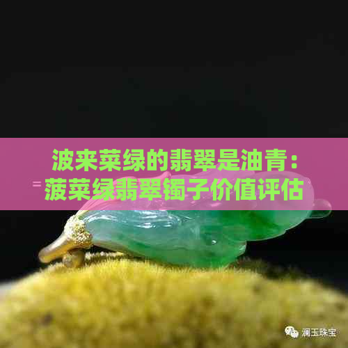 波来菜绿的翡翠是油青：菠菜绿翡翠镯子价值评估