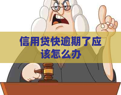 信用贷快逾期了应该怎么办