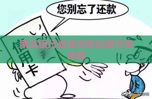 南京银行逾期贷款处理方案详解