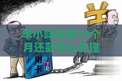 羊小咩协商12个月还款怎么办理