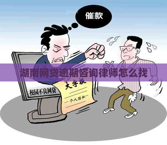 湖南网贷逾期咨询律师怎么找