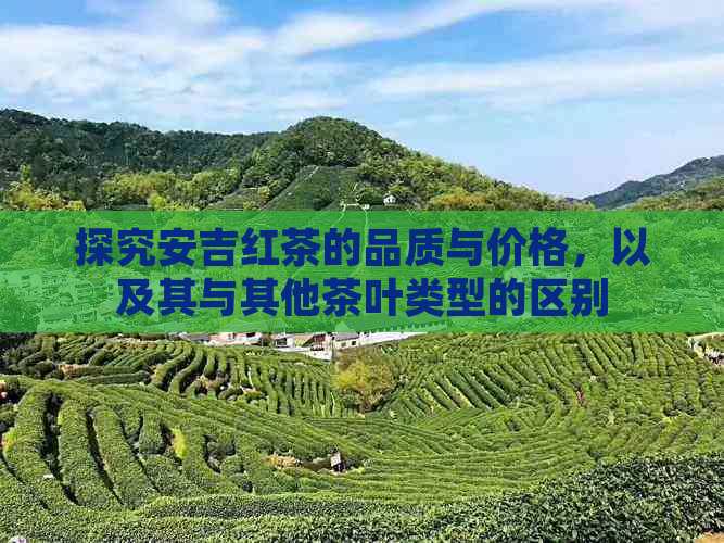 探究安吉红茶的品质与价格，以及其与其他茶叶类型的区别