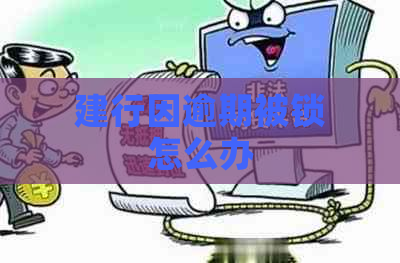 建行因逾期被锁怎么办