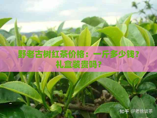 野老古树红茶价格：一斤多少钱？礼盒装贵吗？