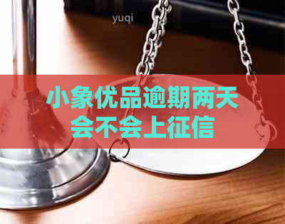 小象优品逾期两天会不会上