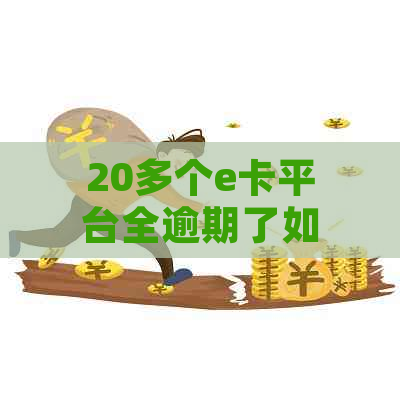 20多个e卡平台全逾期了如何处理