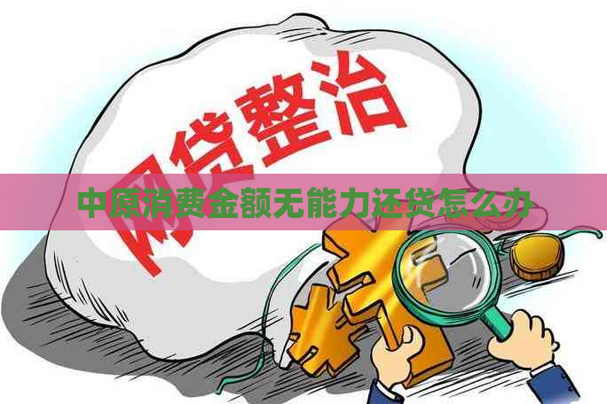 中原消费金额无能力还贷怎么办