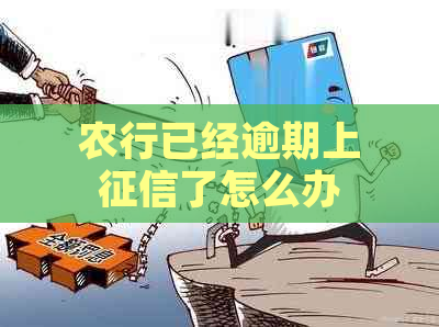 农行已经逾期上了怎么办