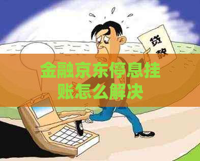 金融京东停息挂账怎么解决