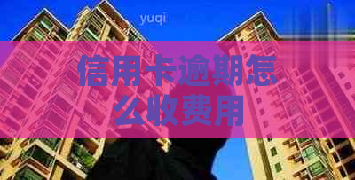 信用卡逾期怎么收费用