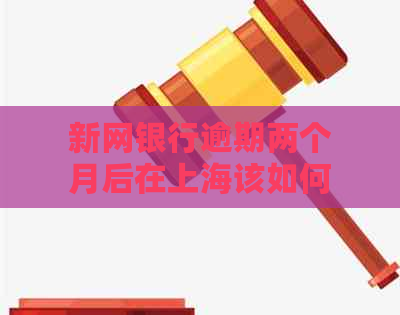 新网银行逾期两个月后在上海该如何处理