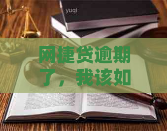 网捷贷逾期了，我该如何处理？这里有一份全面指南来帮助您解决逾期问题