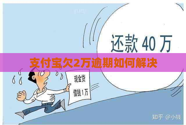 支付宝欠2万逾期如何解决