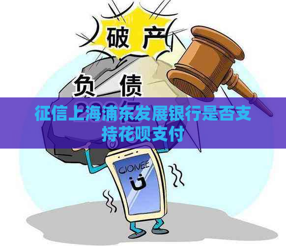 上海浦东发展银行是否支持花呗支付