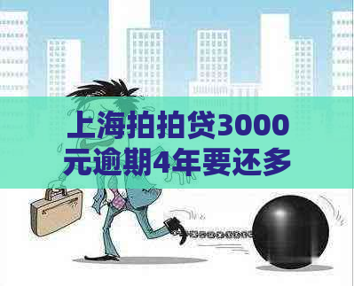 上海3000元逾期4年要还多少利息