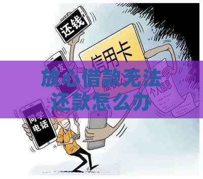 放心借款无法还款怎么办