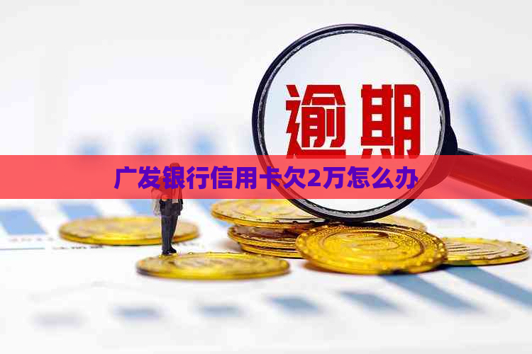 广发银行信用卡欠2万怎么办