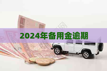 2024年备用金逾期