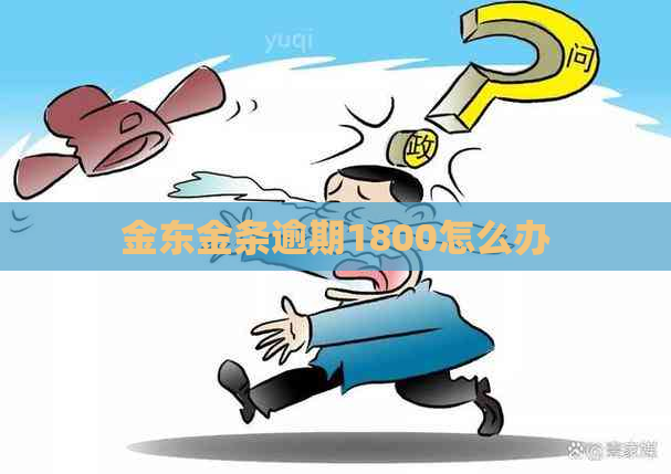 金东金条逾期1800怎么办