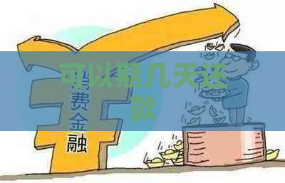 可以期几天还款