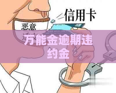 万能金逾期违约金