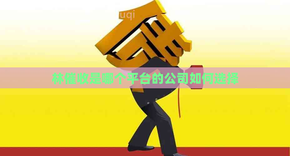 林是哪个平台的公司如何选择