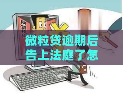 微粒贷逾期后告上法庭了怎么应对