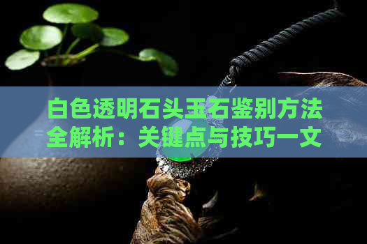 白色透明石头玉石鉴别方法全解析：关键点与技巧一文掌握