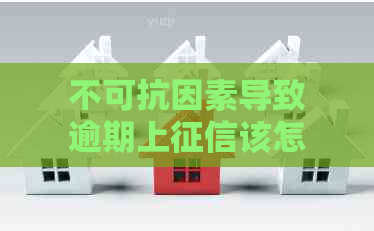 不可抗因素导致逾期上该怎么办