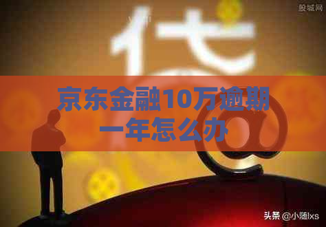 京东金融10万逾期一年怎么办