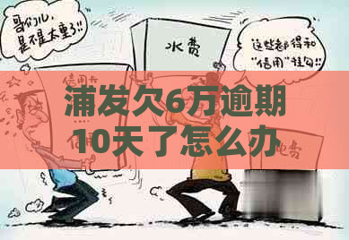 浦发欠6万逾期10天了怎么办