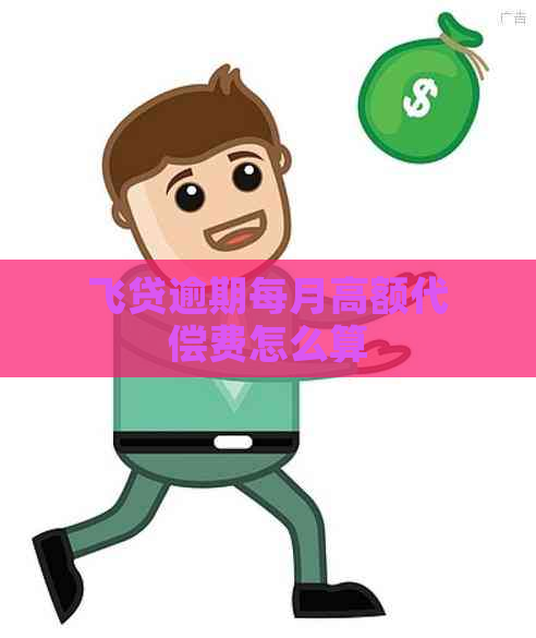 飞贷逾期每月高额代偿费怎么算