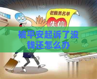 被平安起诉了没钱还怎么办