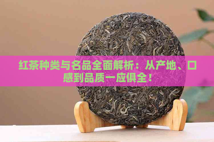 红茶种类与名品全面解析：从产地、口感到品质一应俱全！