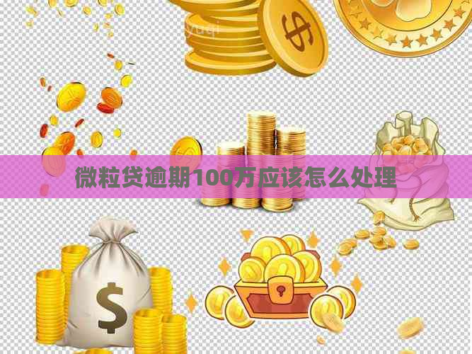 微粒贷逾期100万应该怎么处理