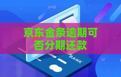 京东金条逾期可否分期还款