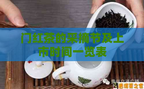 门红茶的采摘节及上市时间一览表