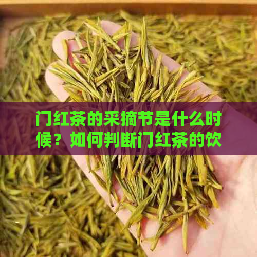 门红茶的采摘节是什么时候？如何判断门红茶的饮用时间？