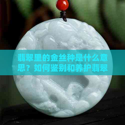 翡翠里的金丝种是什么意思？如何鉴别和养护翡翠中的金丝种？