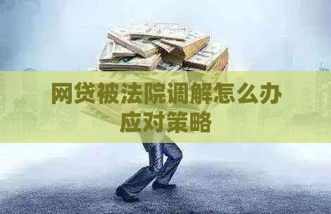 网贷被法院调解怎么办应对策略