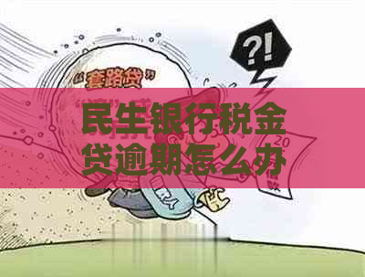 民生银行税金贷逾期怎么办