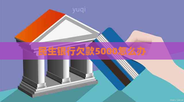 民生银行欠款5000怎么办