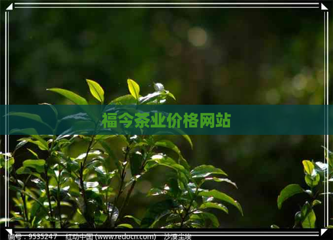 福今茶业价格网站