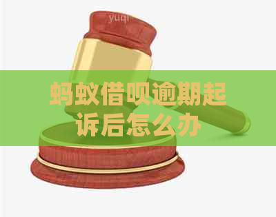 蚂蚁借呗逾期起诉后怎么办