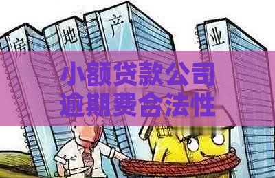 小额贷款公司逾期费合法性如何